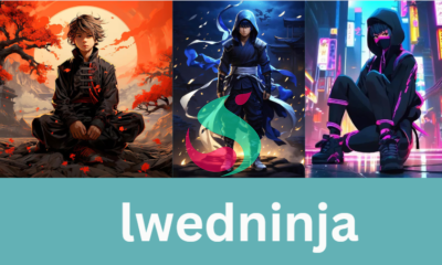 lwedninja