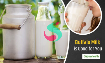 buffalo milk benefits