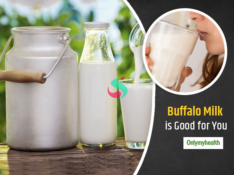 buffalo milk benefits