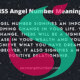 855 angel number