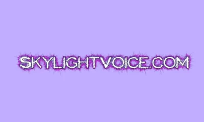 skylightvoice.com