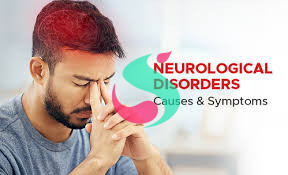 doctorhub360.com neurological diseases