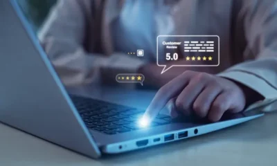 online reputation management with rapid url indexer